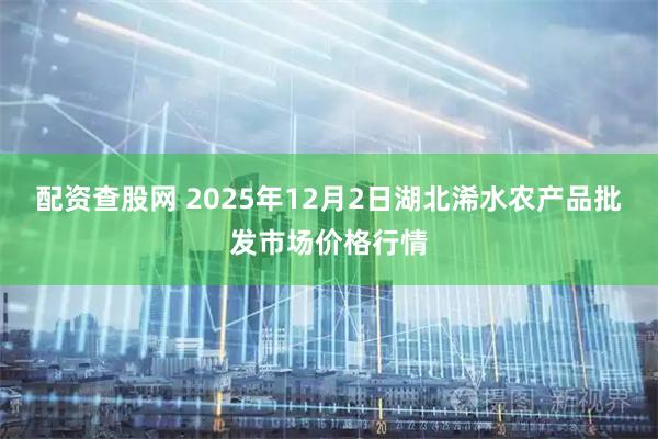 配资查股网 2025年12月2日湖北浠水农产品批发市场价格行情